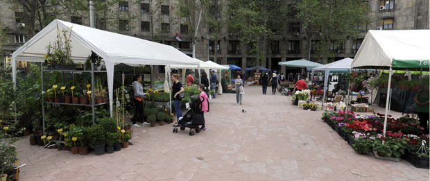 Исти термин, а различите цене